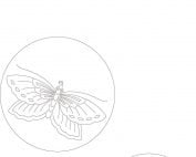 0401 Butterfly Picture-0
