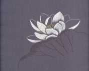 P15-08 Lotus-0