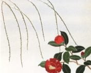 P15-26 Rimpa - Camellia with Willow-0