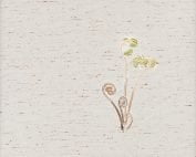 P15-12 Spiral Spring-0