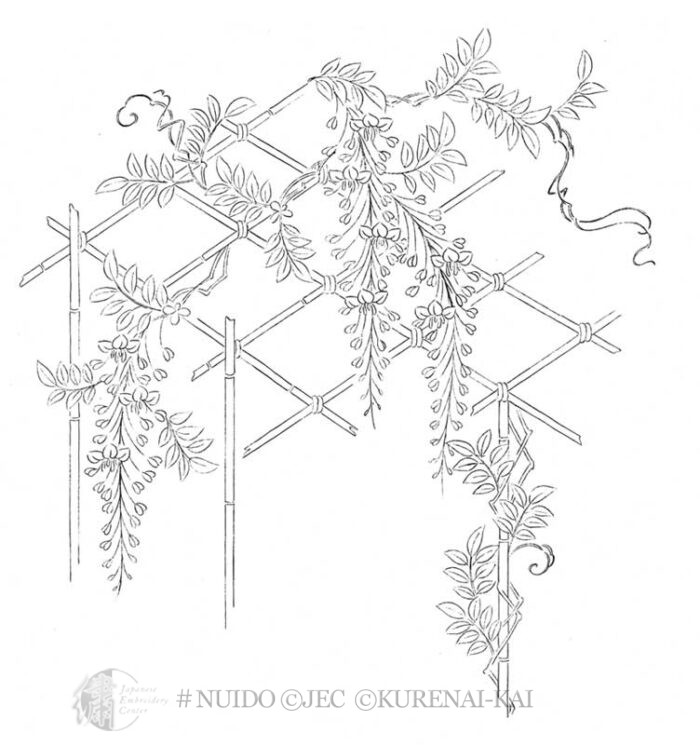 P146 Wisteria
